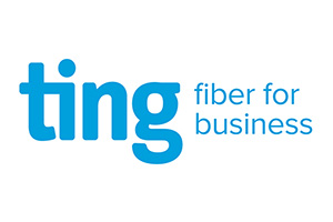 Ting Fiber for Business